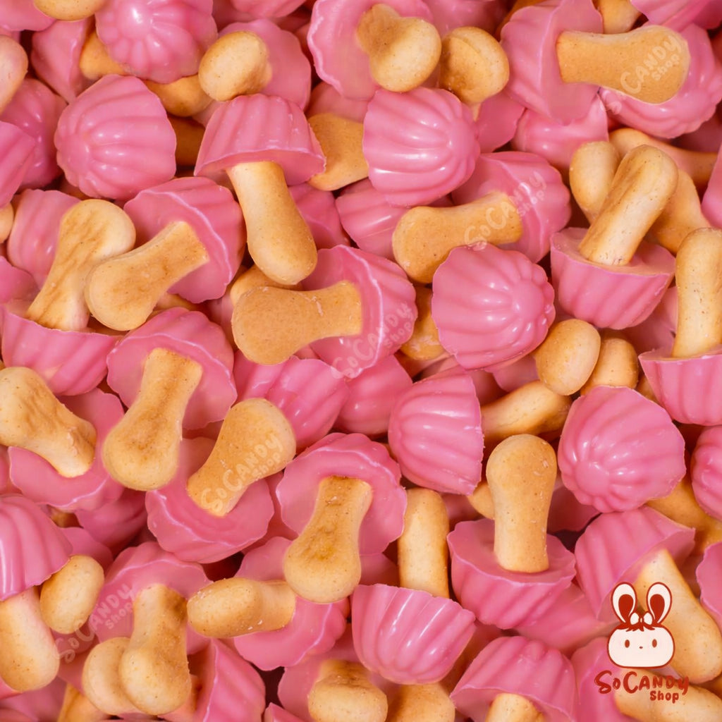 🍫Champignons Biscuits / Chocolat Fraise (10 pièces)