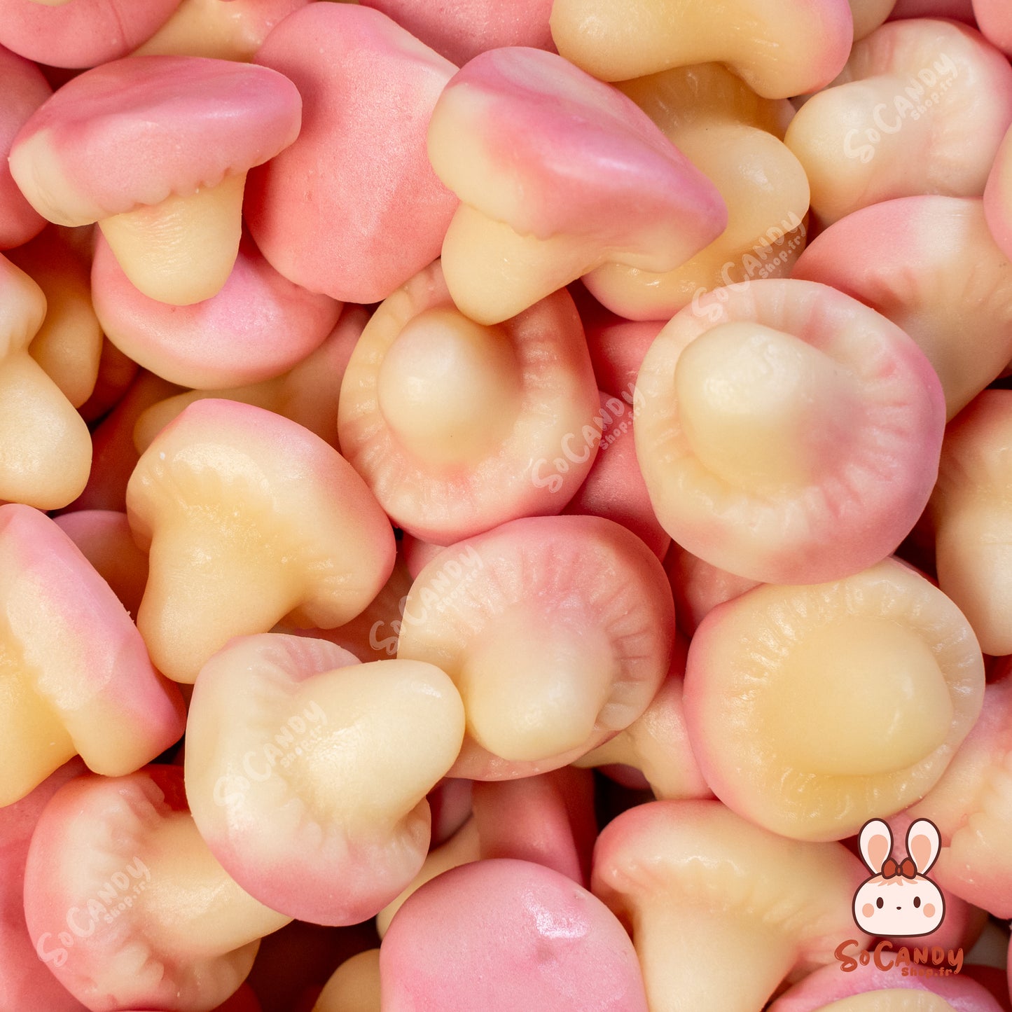 Champignons Lisses (100g)