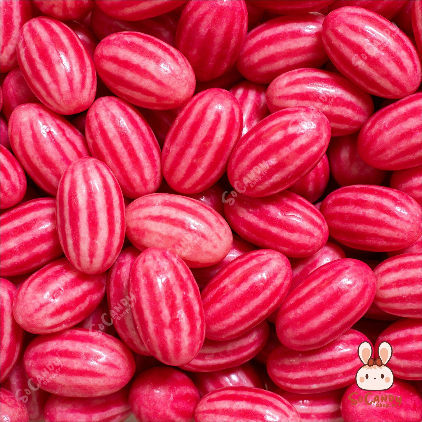 Chewing Gum Fraise (100g)