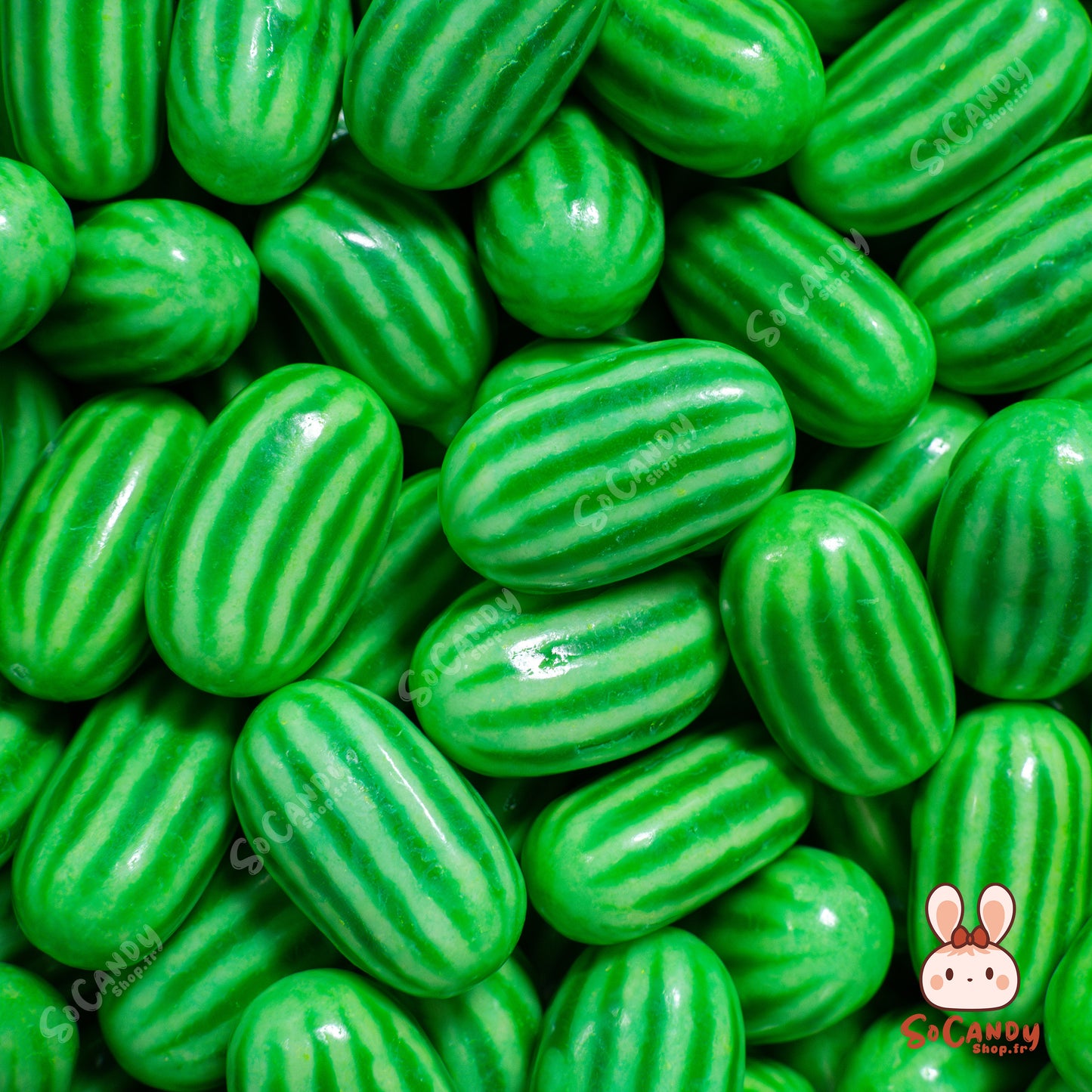 Chewing Gum Pastèque (100g)