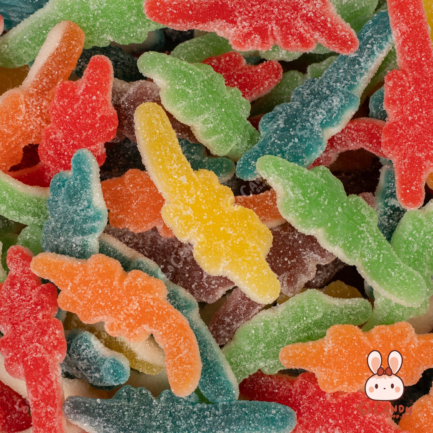 Crocodiles Sucrés (100g)