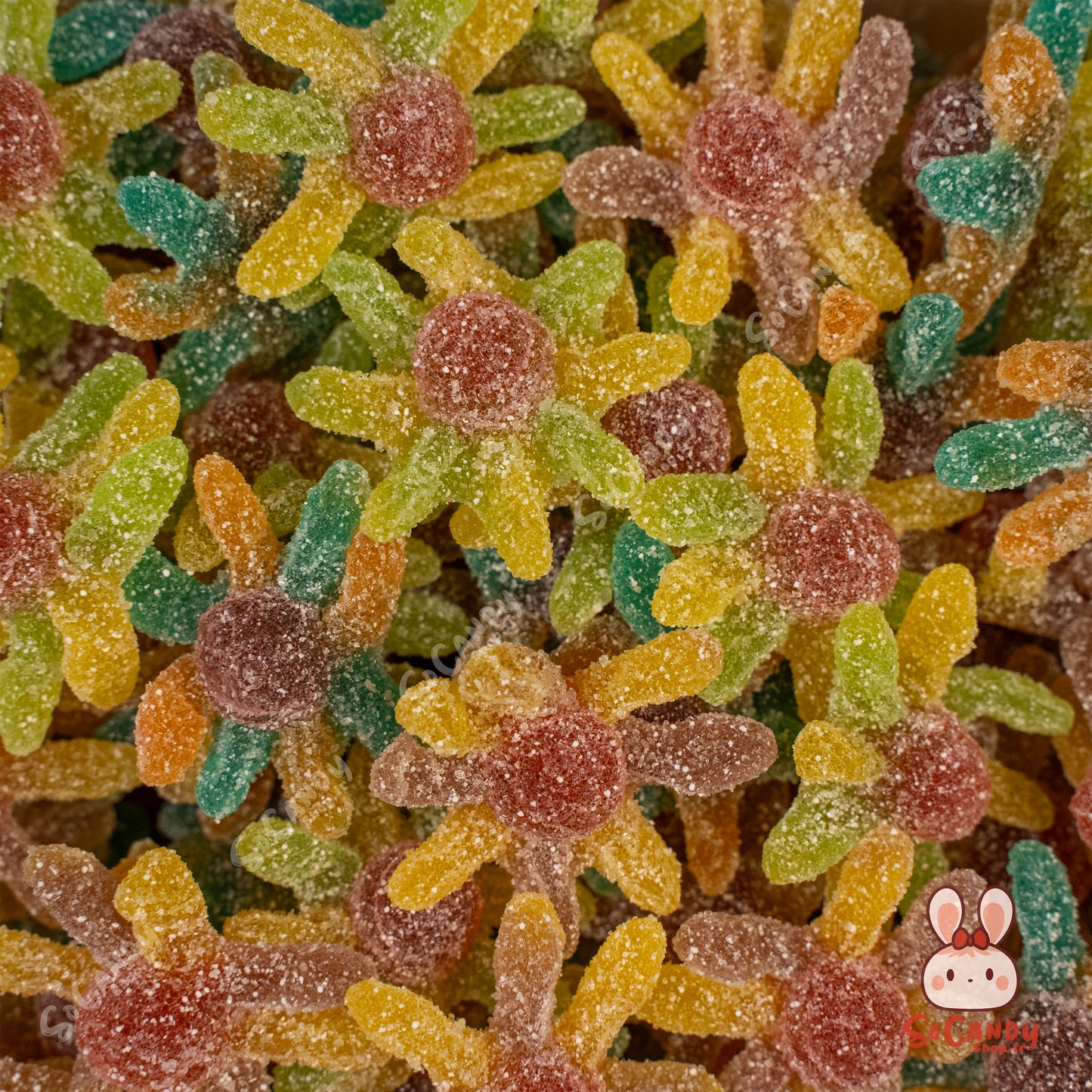 Petit Octopus (100g)