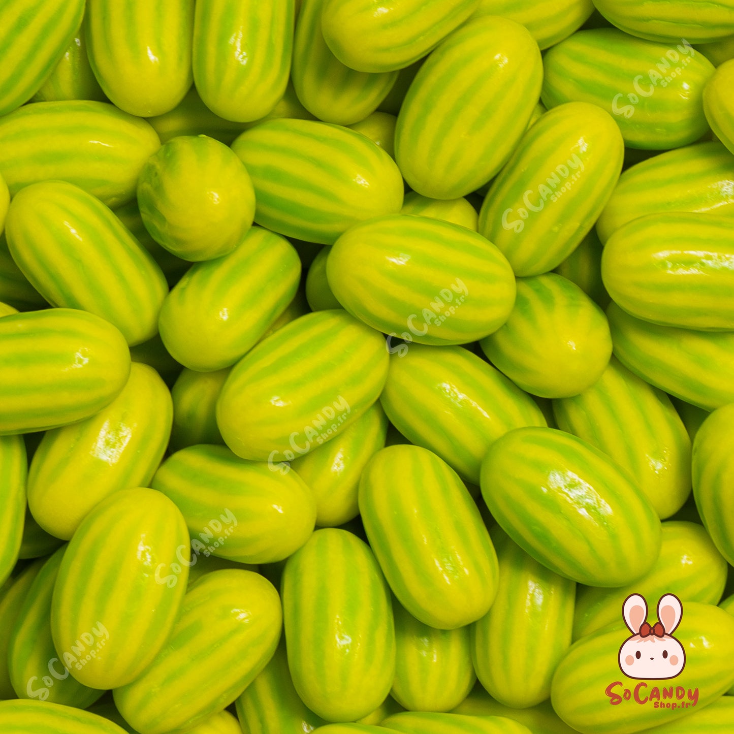 Chewing Gum Melon (100g)