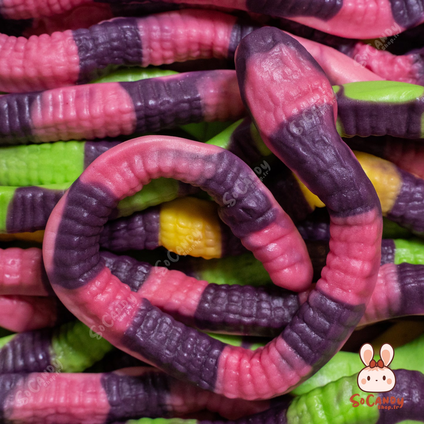 Serpents Géants (1 Pièce)