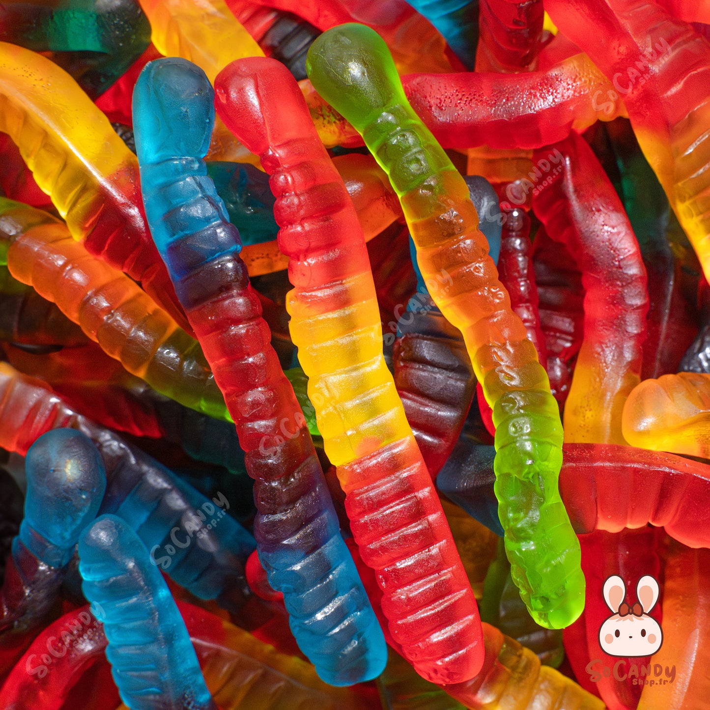 Vers de Terre Mix Lisses (100g)