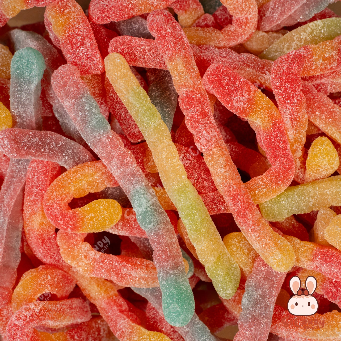 Vers de Terre Sucrés (100g)