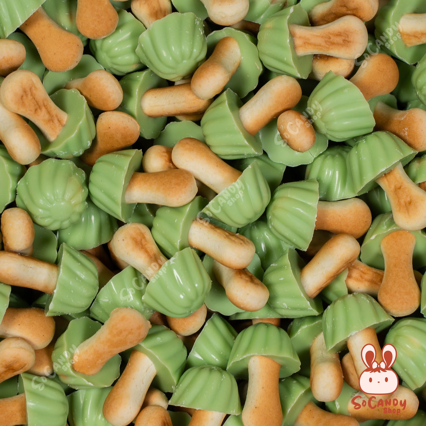 🍫Champignons Biscuits / Chocolat Pistache (10 pièces)