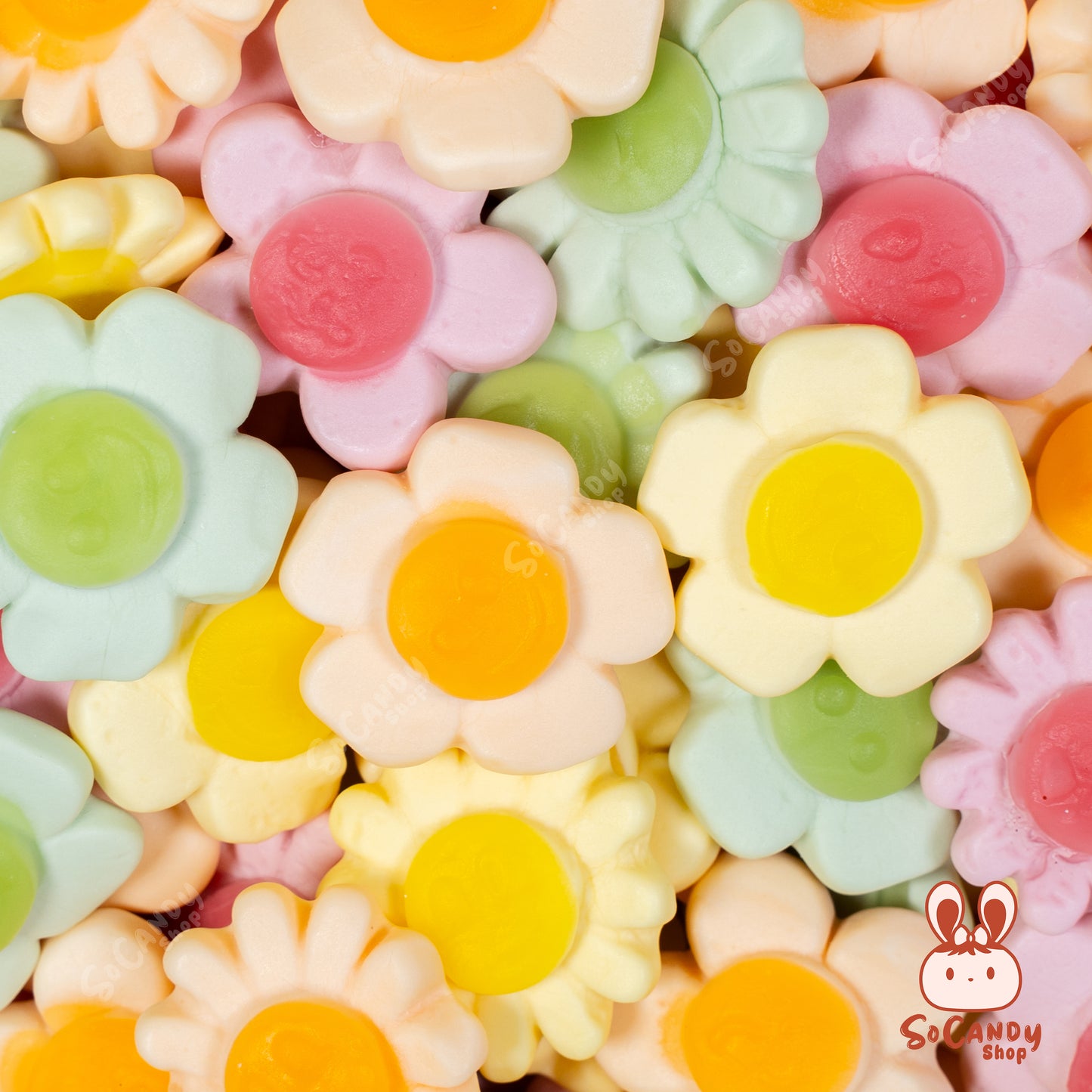 Fleurs - Frisia (100g)