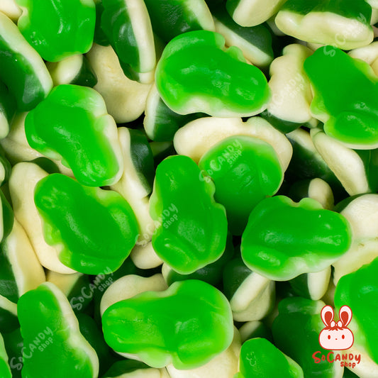 Grenouilles Vertes Lisses (100g)