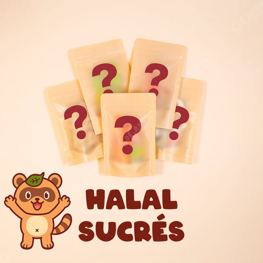 Pack 5 Sachets Mystères de Bonbons Halal Sucrés