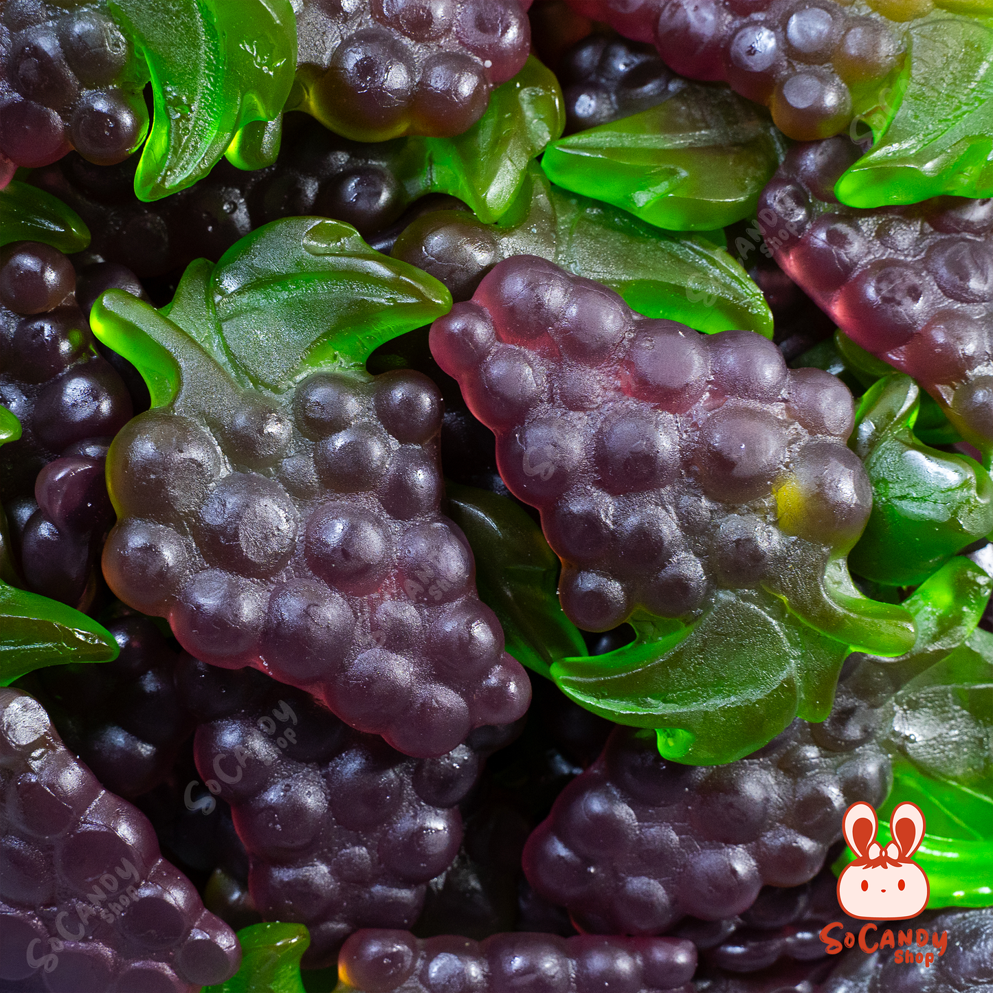 Raisin XL (100g)