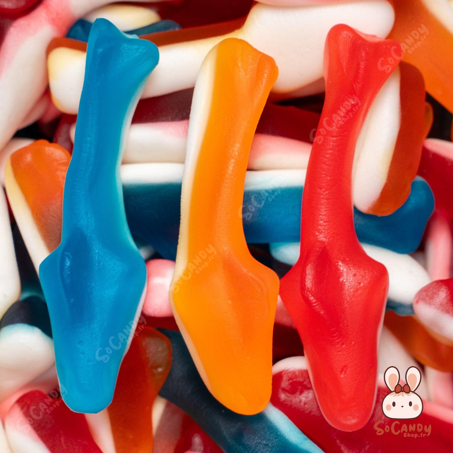 Requins lisses (100g)